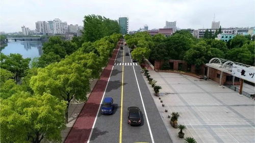 不再堵堵堵 永康對這些路段進(jìn)行大改造,有你家門口嗎