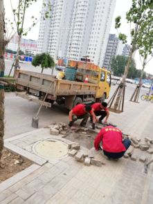 市政工程管理中心強化設施維修，全力保障道路暢通與設施完善